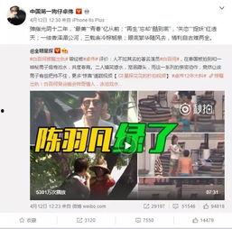 王琳前总监爆料视频大全,揭秘娱乐圈幕后真相  第3张