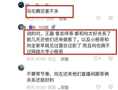 网红小杨哥爆料视频大全,揭秘幕后真相与热点事件 第3张 网红小杨哥爆料视频大全,揭秘幕后真相与热点事件 第3张