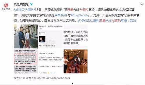 娱乐圈最新爆料辟谣事件,真相与谣言的较量