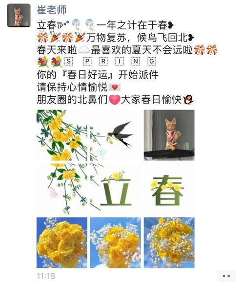 小寒的吃瓜日记免费阅读,揭秘娱乐圈背后的甜蜜与苦涩