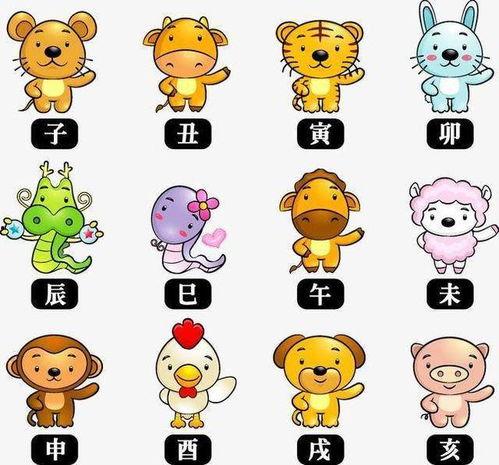 十二生肖在线观看,生肖传奇，生肖文化在线盛宴