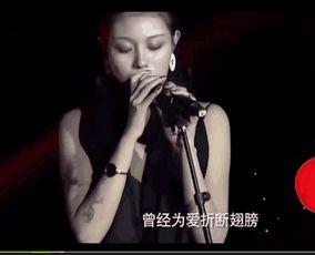 汪峰爆料前妻视频播放,揭秘一段婚姻的真相与争议  第3张