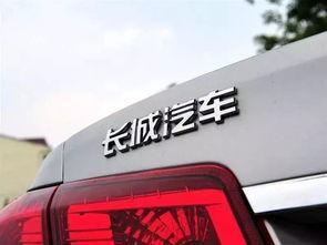 蔡老板爆料长城汽车视频,蔡老板揭秘企业真实面貌  第1张