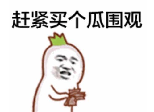 网红吃瓜群众心中有秤,心中有秤,公正点评娱乐圈风云 第2张 网红吃瓜群众心中有秤,心中有秤,公正点评娱乐圈风云 第2张